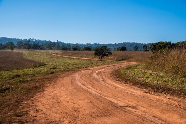 Cost of Dirt Driveway Repair in Newark