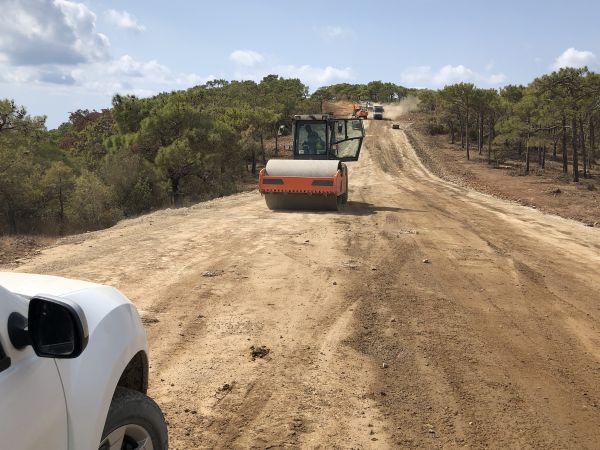 Cost of Driveway Grading in Newark