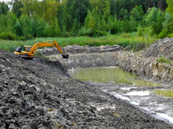 Cost of Fish Pond Digging in Newark