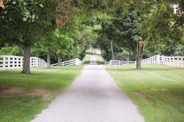 Cost of Gravel Driveway Construction in Newark