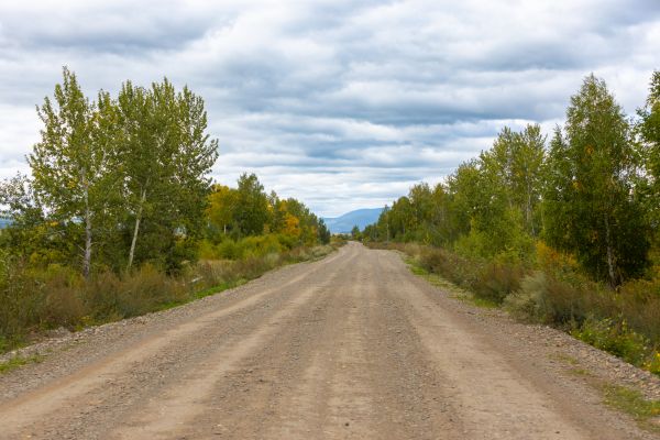 Cost of Dirt Road Repair in Newark