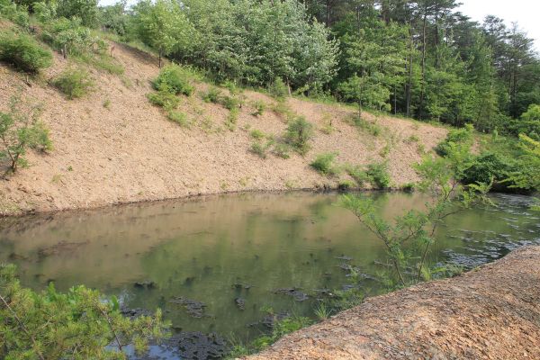 Cost of Pond Erosion Repair in Newark