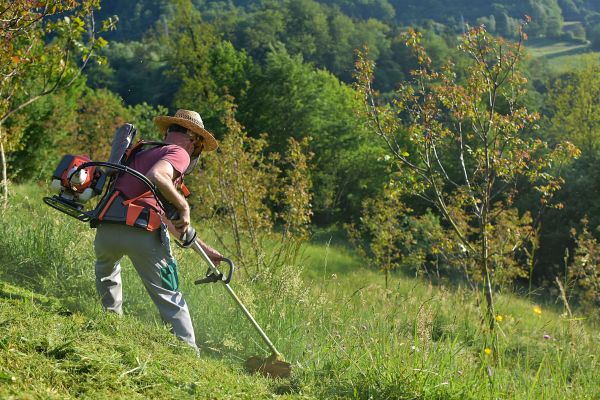 Cost of Slope Trimming in Newark
